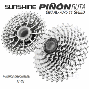 PIÑON RUTA SUNSHINE
